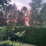 Wild Forest, Knus Op De Veluwe Met Gratis Parkeren