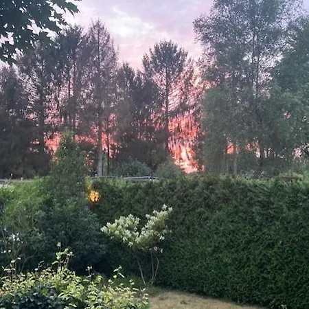 Wild Forest, Knus Op De Veluwe Met Gratis Parkeren