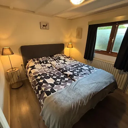 Wild Forest, Knus Op De Veluwe Met Gratis Parkeren * 皮滕