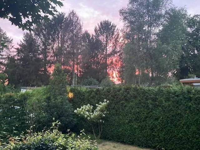 Wild Forest, Knus Op De Veluwe Met Gratis Parkeren