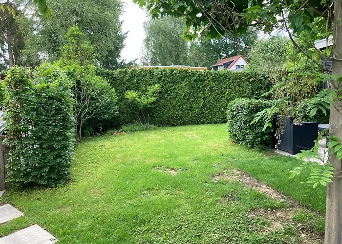 Wild Forest, Knus Op De Veluwe Met Gratis Parkeren